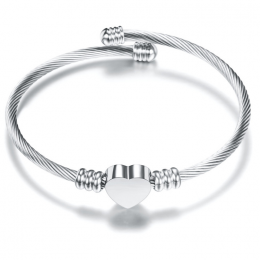 Bratara bangle Silver Moments of Love